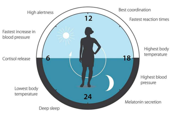 How does blue light interact with the body